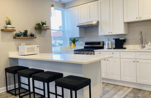 Bridgeport Apartment | Archer #2 | New 3 Bedroom near McCormick Place, Wintrust Arena, Chinatown