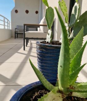 Valras-Plage Apartment | Archipel Ponant