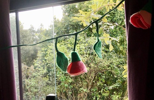 Alto Paraiso de Goias House | Architect Design House - Swimming Pool - 2min from Main Street