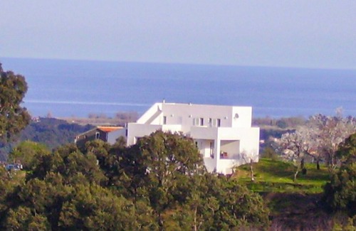 Castellare-di-Casinca House | Architect-designed house with swimming pool, nestled in the heart of the Casinca scrubland,