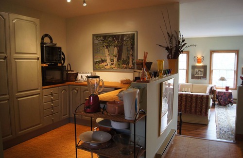 New Lowell House | Architectural open concept Country Home On sandy Lake