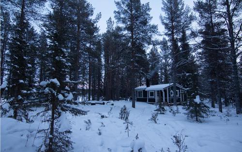 Jukkasjarvi Cabin | Arctic Island - Remote island, reachable only by boat or snowmobile