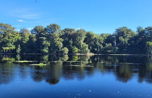 Lake Panasoffkee Cabin | Are a prefect weekend retreat or long term winter vacation home.