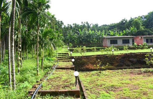 Dapoli House | Areca Farms