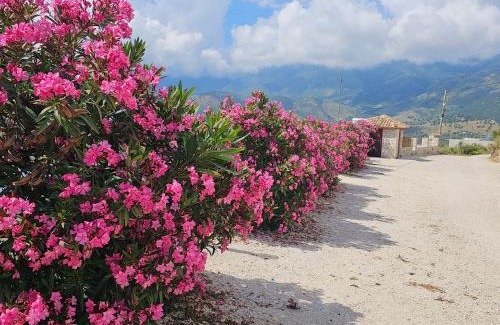 Himare Apartment | Argileos