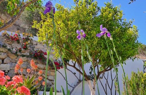 Ierapetra House | Arhondia House