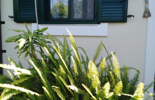 Afandou House | Arhontiko Kastelorizia