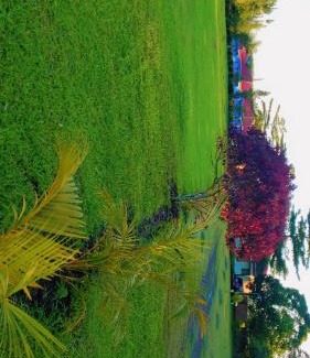 Bugahya Hotel | Arien Hotel