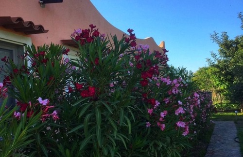 Diamante House | ARISTEA HOLIDAY HOUSE 5 CIRELLA - DIAMOND NEAR THE SEA