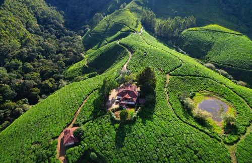 Kannan Devan Hills House | Arivikad Tea Bungalow Munnar By VOYE HOMES