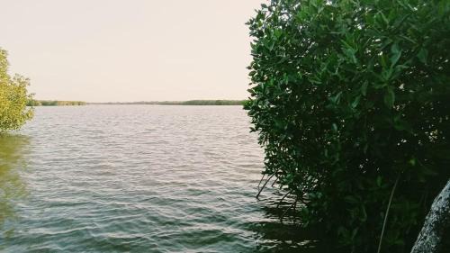 Irrakkakandi Bed & Breakfast | Arjuna Lagoon Resort