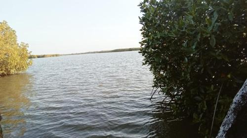 Irrakkakandi Bed & Breakfast | Arjuna Lagoon Resort