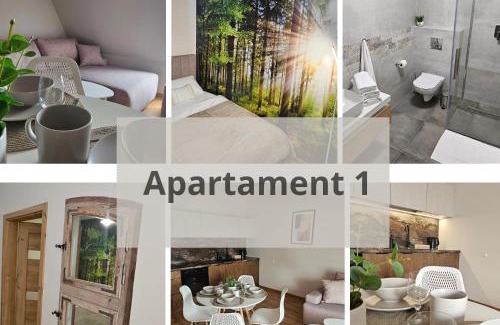 Olsztynek Apartment | Arkady House