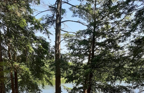 Seguin Cabin | Armishaw Lake Muskoka cottage on a private lake!