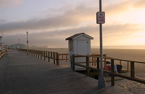 Point Pleasant Beach House | ARN25L - 1st Floor 2BR 1 bath within a block to it all - Pets OK, 4 Tags by Shore Points Vacations