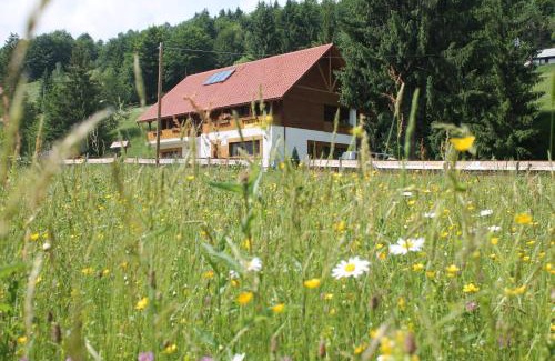 Arieseni House | Arnica Montana