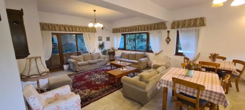 Arieseni House | Arnica Montana