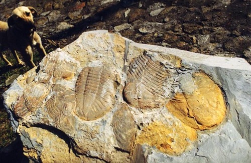 Arouca Apartment | Arouca Local accommodation Boulevard Houses