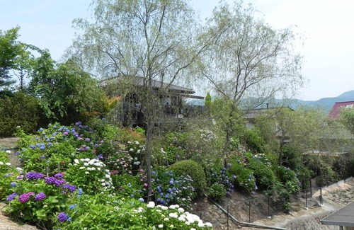 Hatsukaichi Villa | Around Miyajima! Completely private villa, limited to one pair per day. The garden is full of flowers and fruits!
