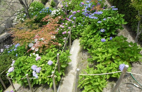 Hatsukaichi Villa | Around Miyajima! Completely private villa, limited to one pair per day. The garden is full of flowers and fruits!