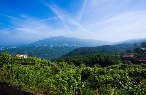 Castelo de Paiva House | Arrabia Bunga Douro in Raiva
