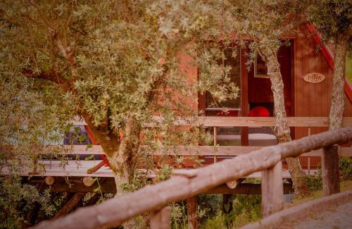Castelo de Paiva Bed & Breakfast | Arrabia Guest Houses Glamping