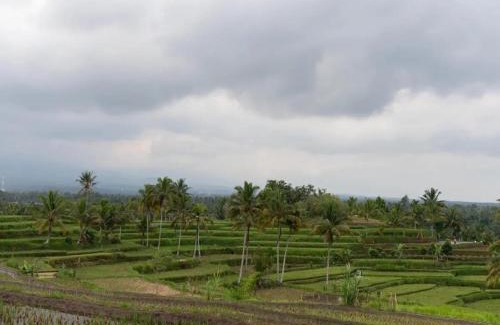 Tetebatu House | Arsilahomestay