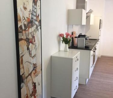 Kaprun Apartment | Art Apart Nomay Summercard Blick Top of Salzburg