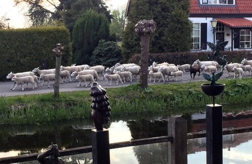 's-Graveland Apartment | Art+bed and breakfast, short or long-term holidays
