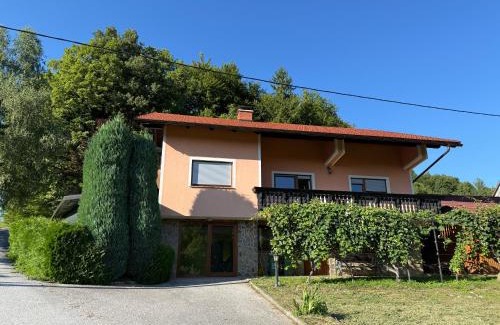 Bostanj House | ART Nature Retreat