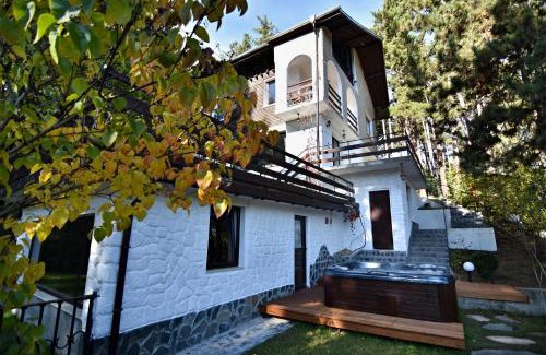 Velingrad Villa | Art Spa Villa Gal