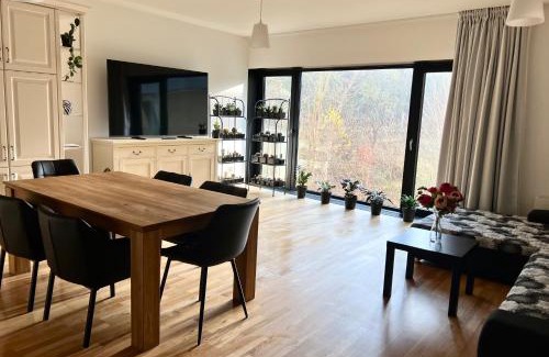 Karlovy Vary Apartment | ArtFlora KV Premium