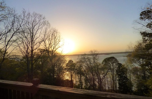 Georgetown Cabin | Artisan Cottage - Lakefront on Lake Eufaula!