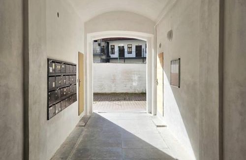 Zizkov Apartment | Artistic Designer Studio Žižkov