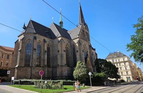 Zizkov Apartment | Artistic Designer Studio Žižkov