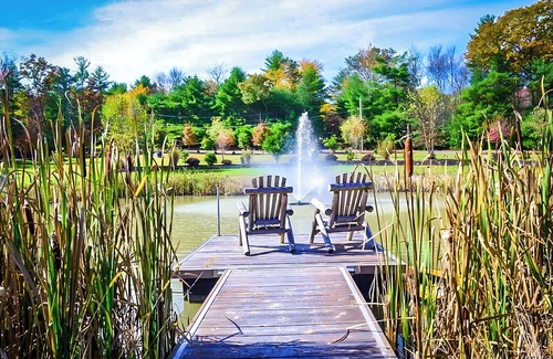 Glen Spey House | Artistic Escape: Nature, Silence & Soul, 6-acre hideaway, Privately Yours
