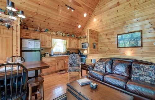 Black Bear Falls Cabin | Artistic Mountain | Private Hot Tub + Mtn Views & Game Room!