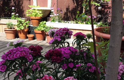 Chelsea Apartment | Artists loft in Hudson Yards area New York , AC, WiFi and roof deck