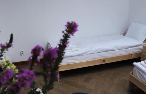 Krosno Apartment | ArtRooms Pokoje Gościnne