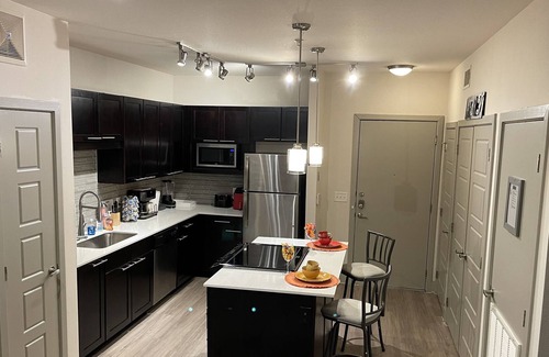 Oak Cliff Apartment | Artsy Bishop Arts apartment /pool view *Pet friendly*