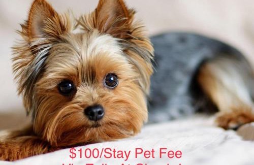 Houston Heights House | Artsy Heights House: Walk To Food-Bars-Shops-Trails, Kids & Pet Friendly