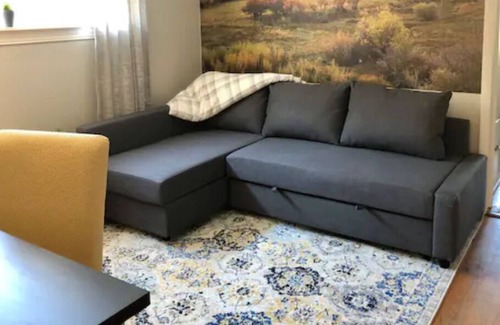 Alamosa House | Artsy House in Downtown Alamosa STR 2957