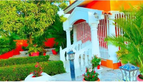 Punto de Oro House | ARUBA COZY Home