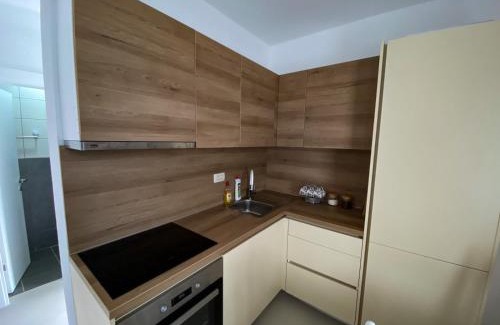Lastva Grbaljska Apartment | AS apartmani