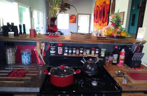 Fern Forest House | As seen on Discovery Channel's "Building off the grid" Volcano Home!