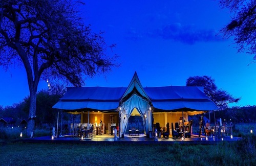 Serengeti National Park Other | Asanja Moru