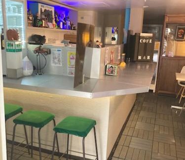 Chuo-ku Hotel | Asano Hotel