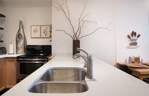 Downtown Asheville Condo | Asheville Urban Nest - Luxurious Retreat in the Heart of Downtown Asheville