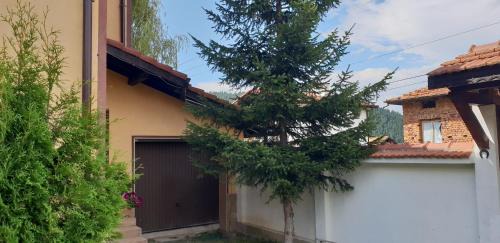 Govedartsi House | Ashkova House