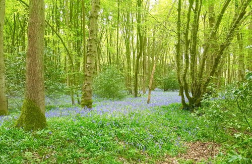 Ashford House | Ashwood Holiday Cottage.